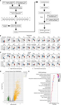 Identification of Immune-Cell-Related Prognostic Biomarkers of Esophageal Squamous Cell Carcinoma Based on Tumor Microenvironment